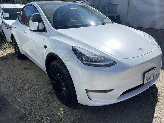 TESLA MODEL Y 2023 7SAYGDEE4PA116050 image